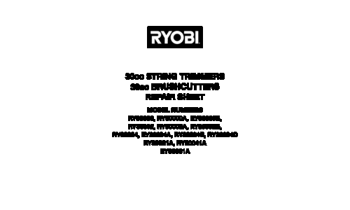 Ryobi RY30004D User Manual